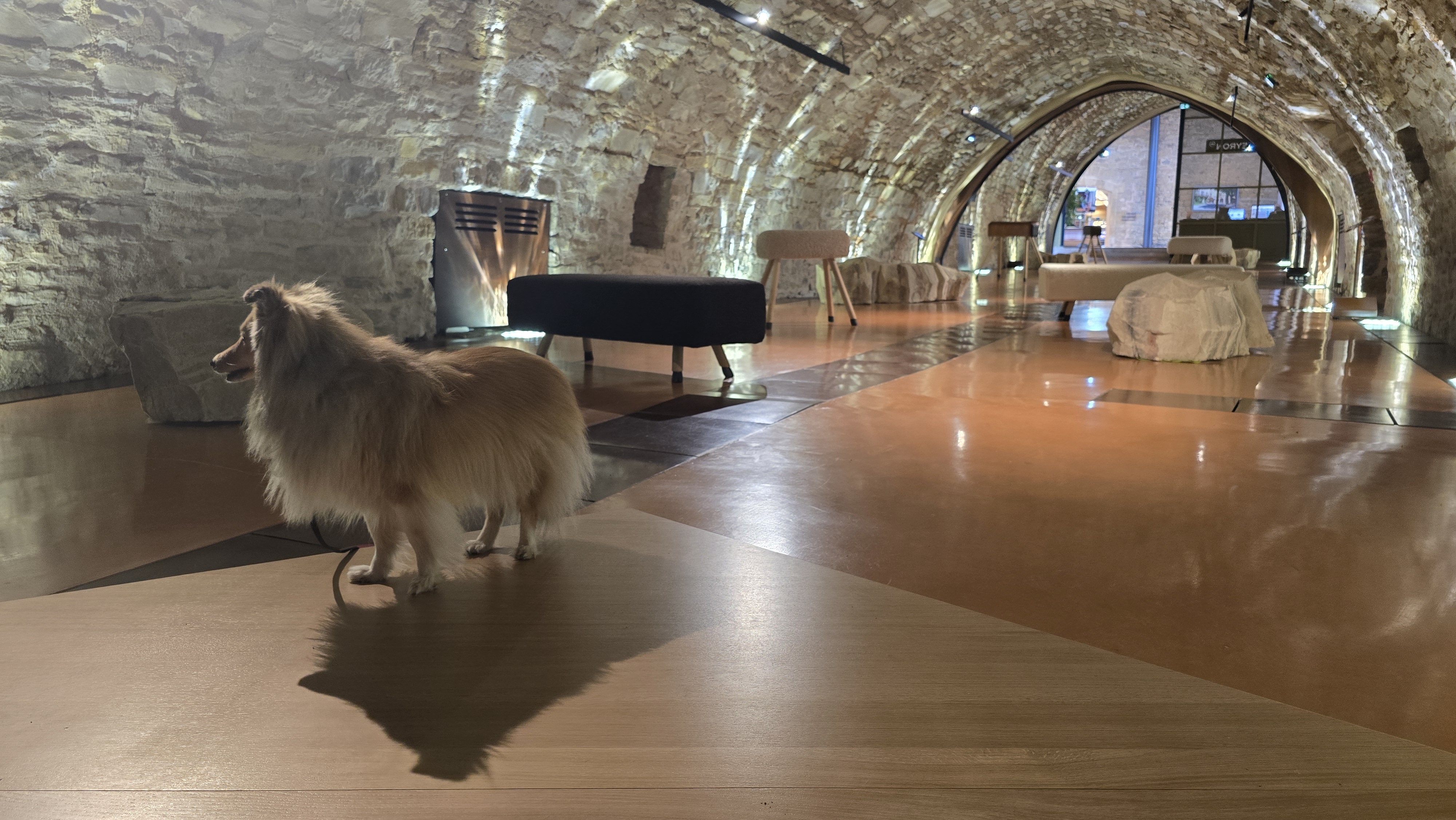 Isla the Sheltie inside Millau viaduct exhibition hall, France